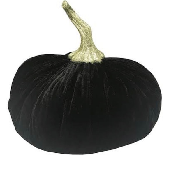 Pumpkin Velvet Decoration color black Weighted(0.11.3oz) 8"x 8” New without tag - Picture 12 of 15